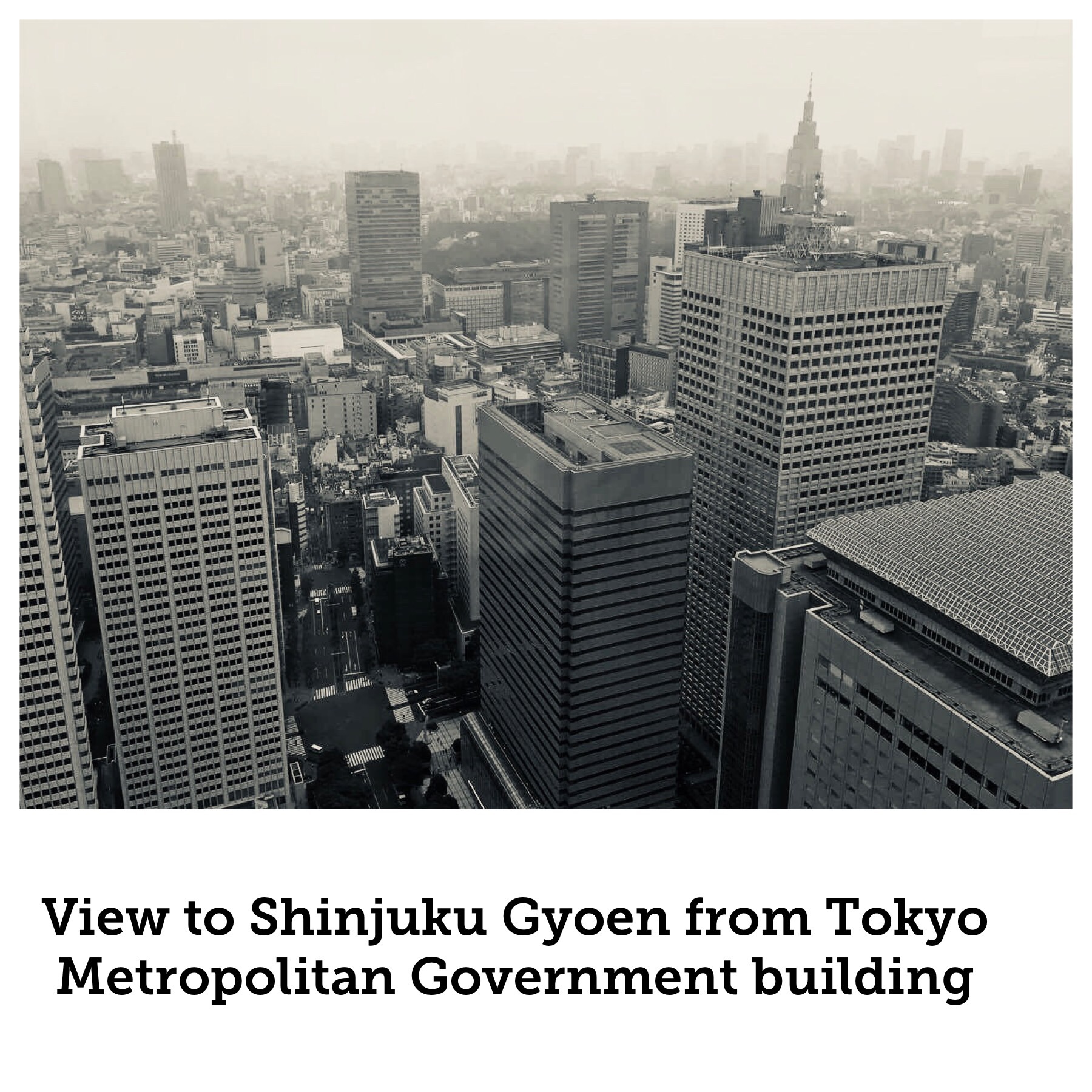 View to Shinjuku Gyoen from Tokyo Metropolitan Government building