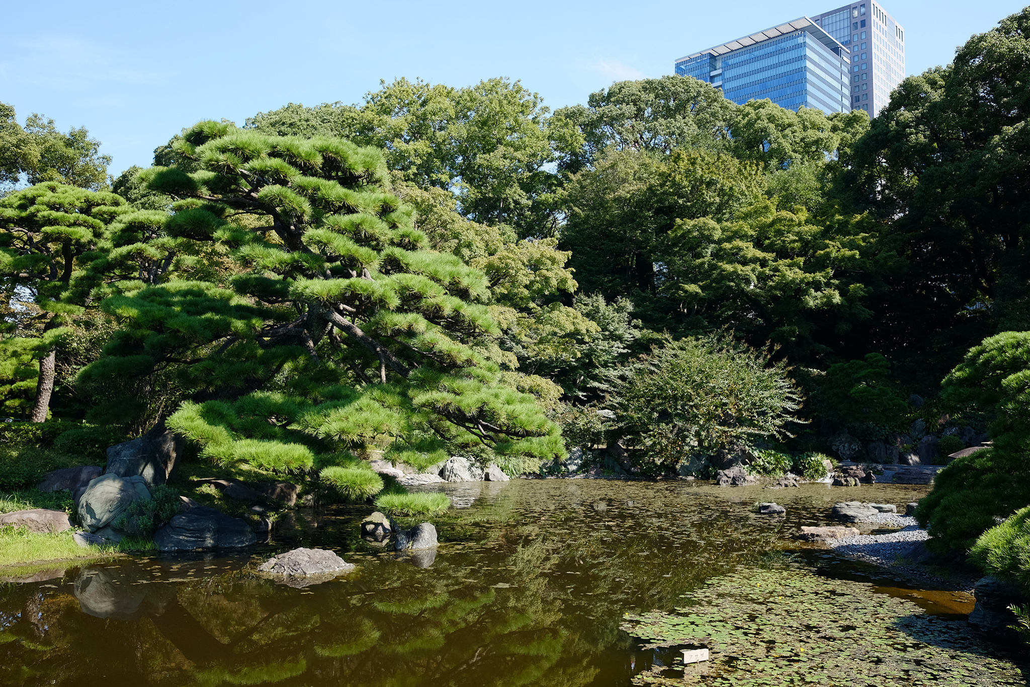 Shinjuku Gyoen National garden